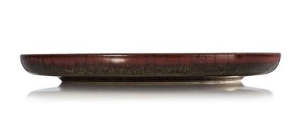 Lautanen One Amazonas  (4 eri kokoa) - Image 2